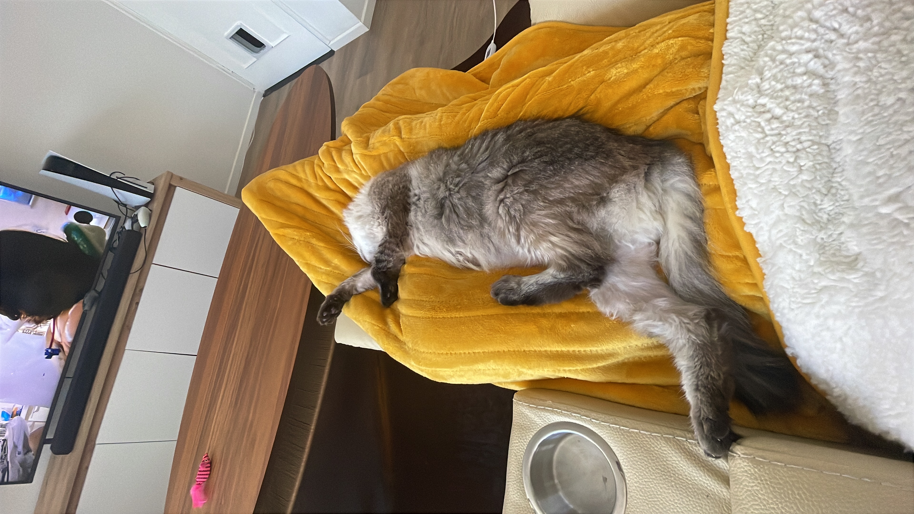 image-8
