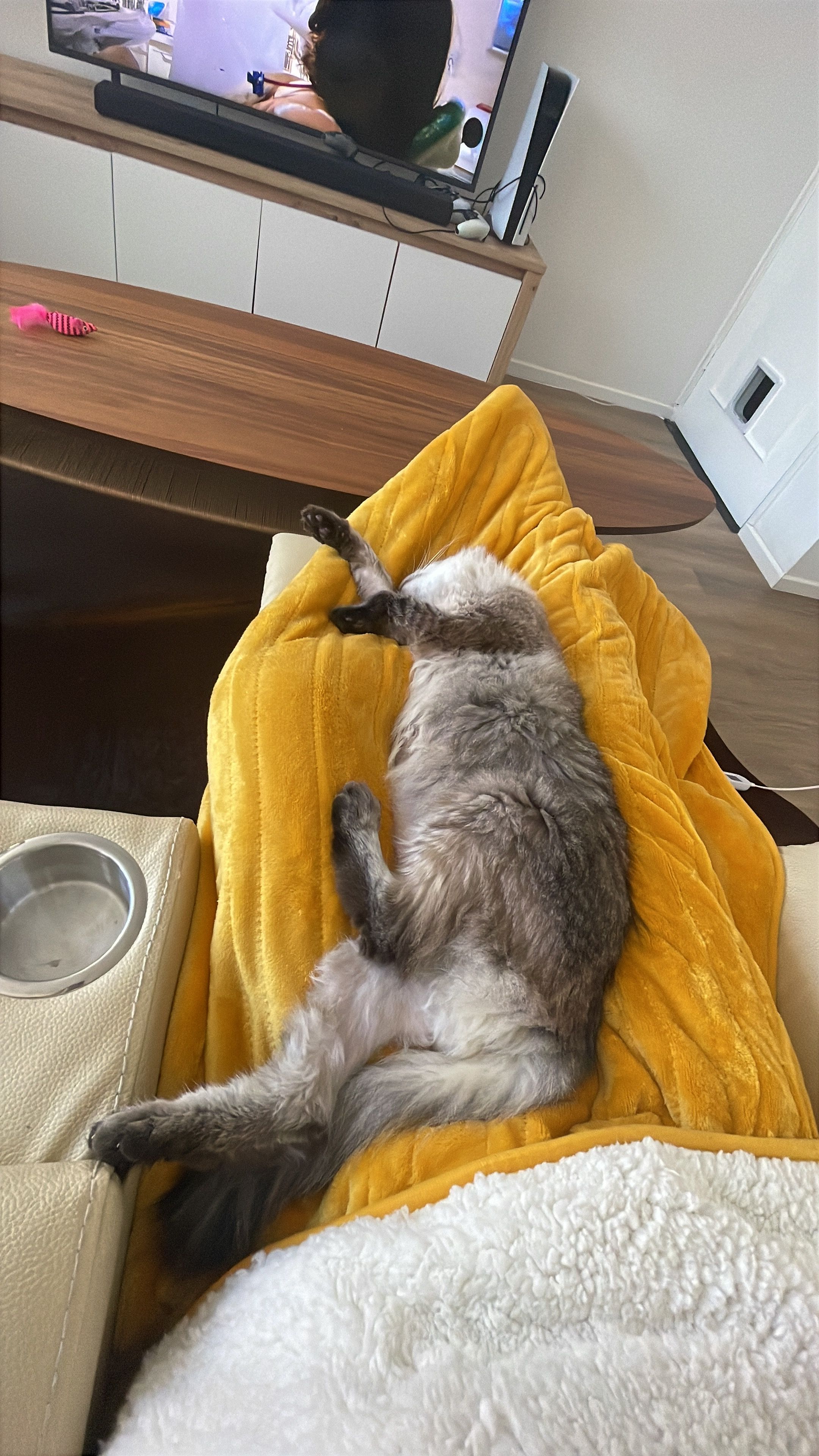 image-8