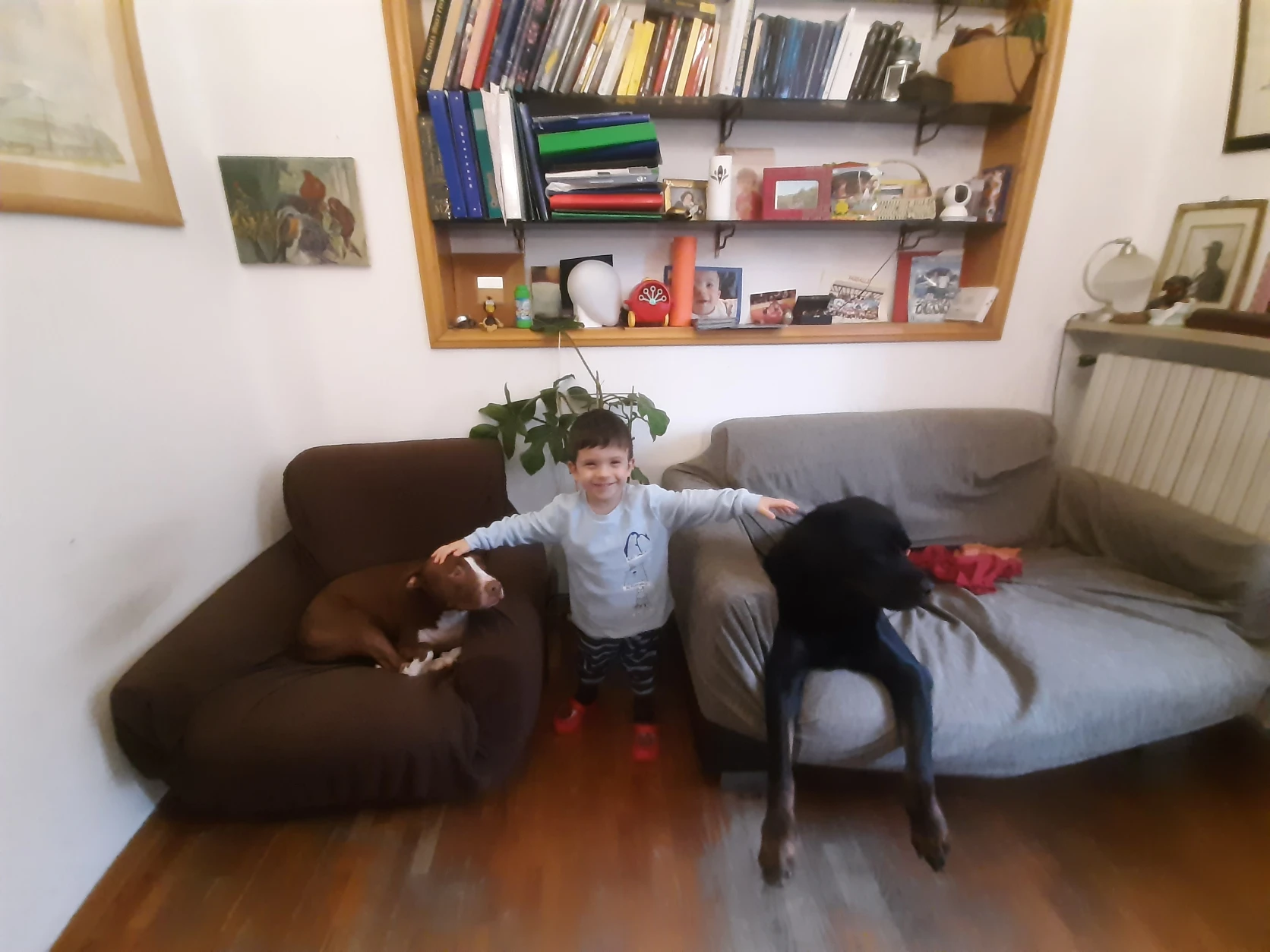 image-7