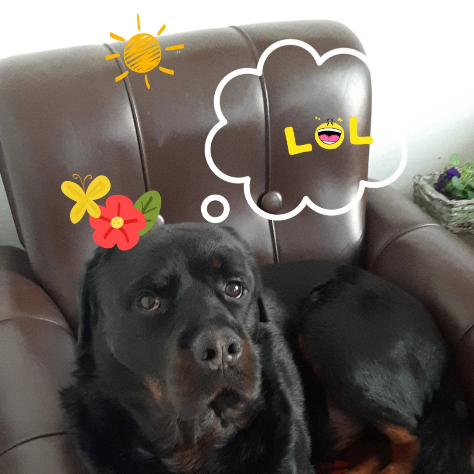Thor 