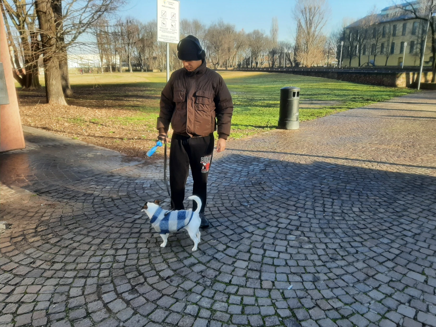 image-3