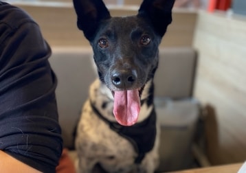 Sam