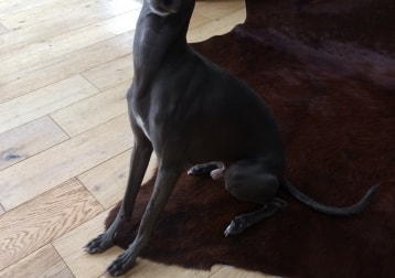 Ares
