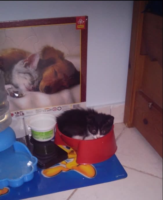 image-35