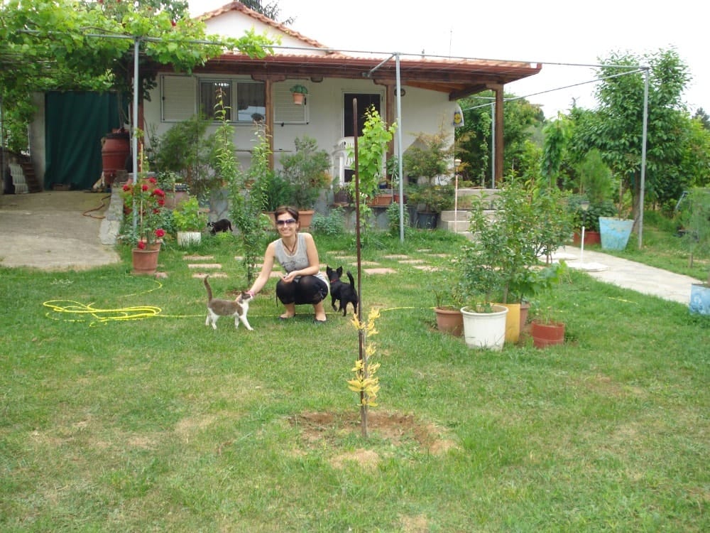 image-21