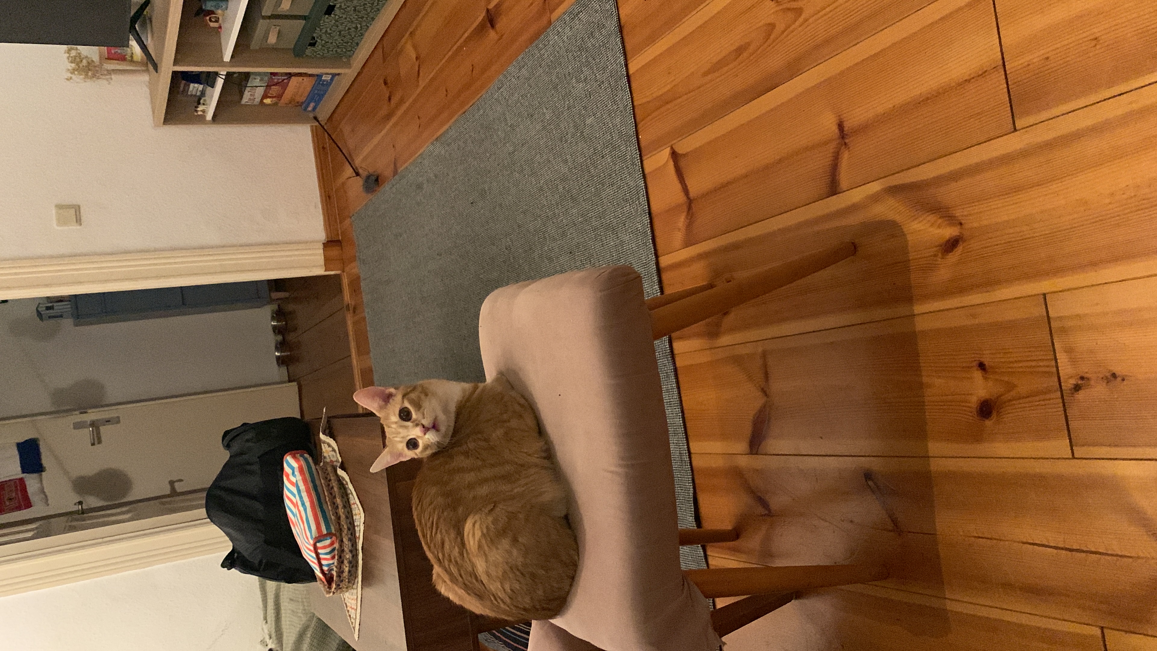image-13