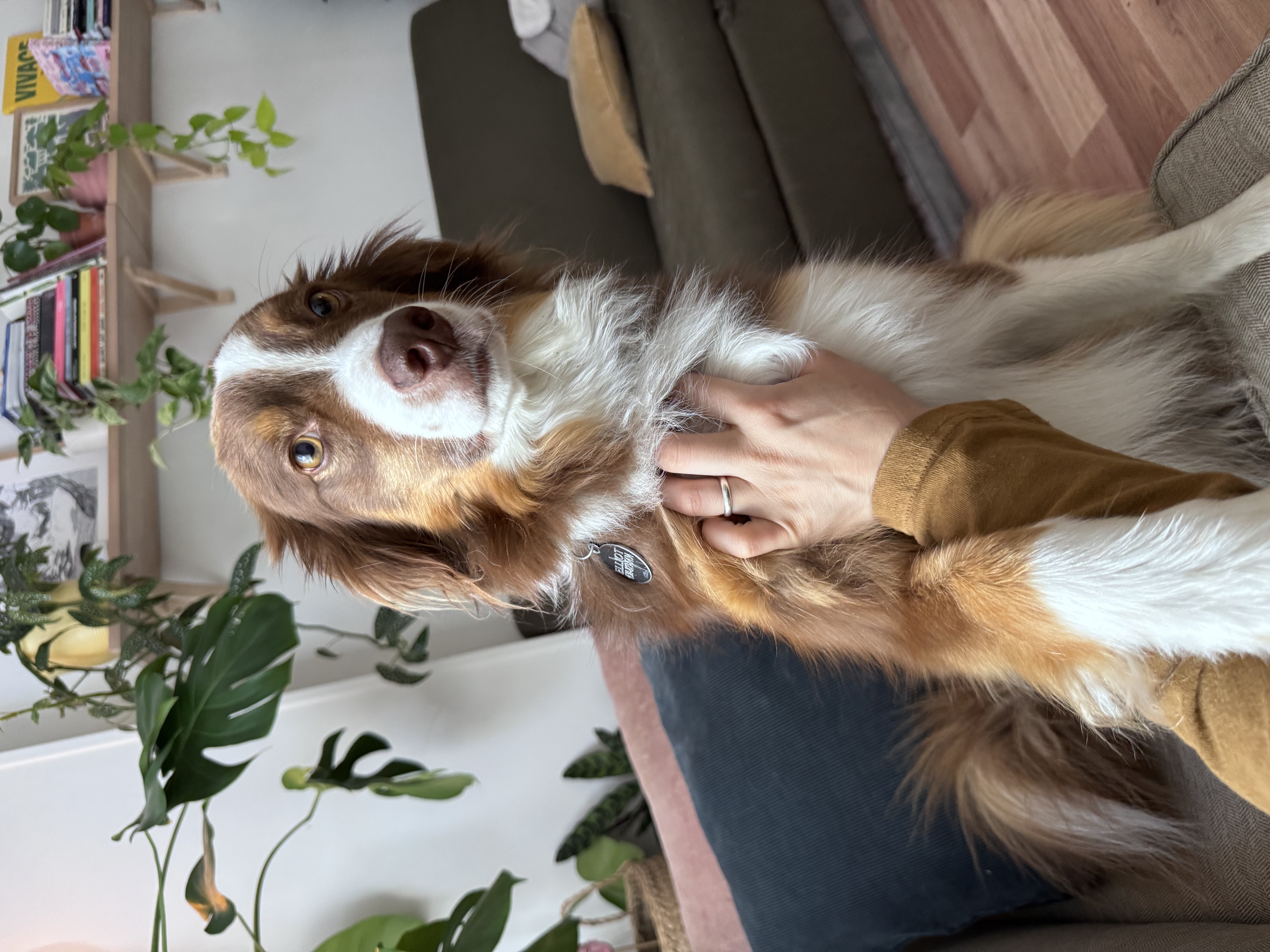 image-6