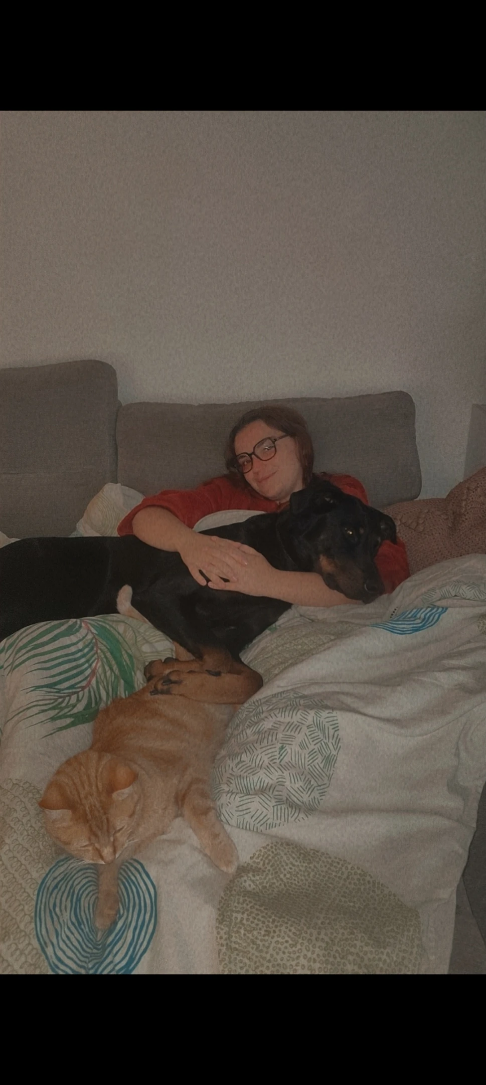 image-8