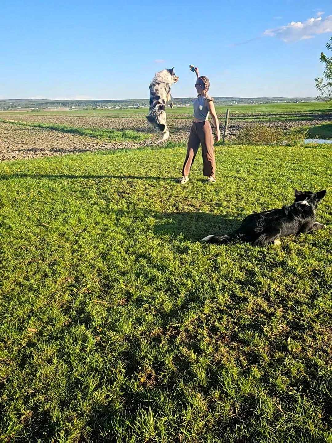 image-5