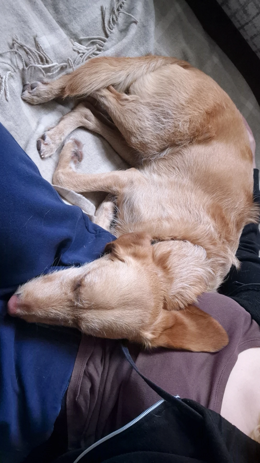 image-6