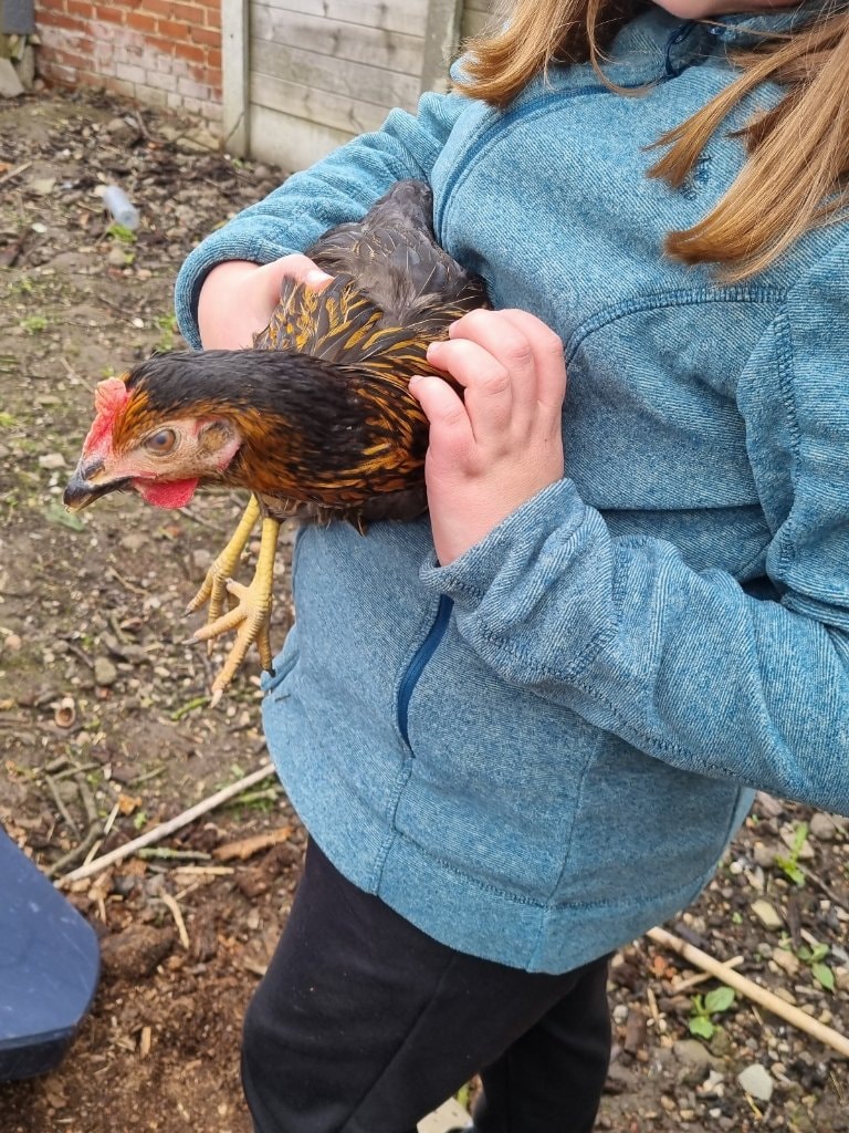 image-6