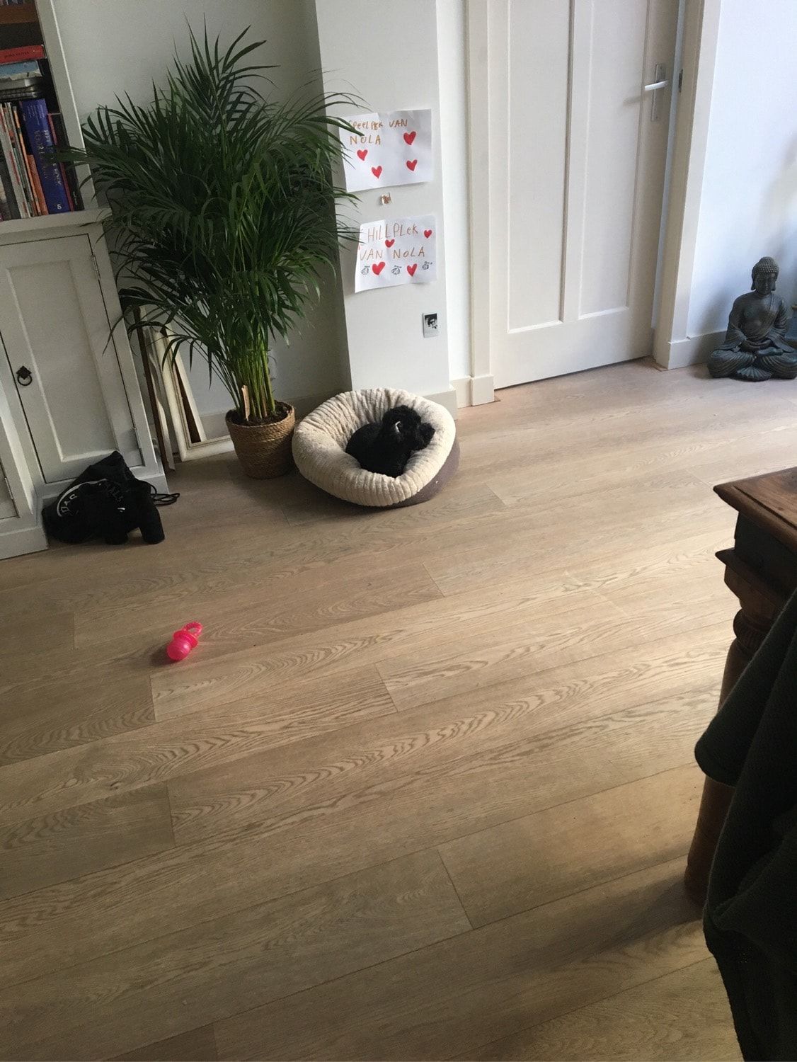 image-15