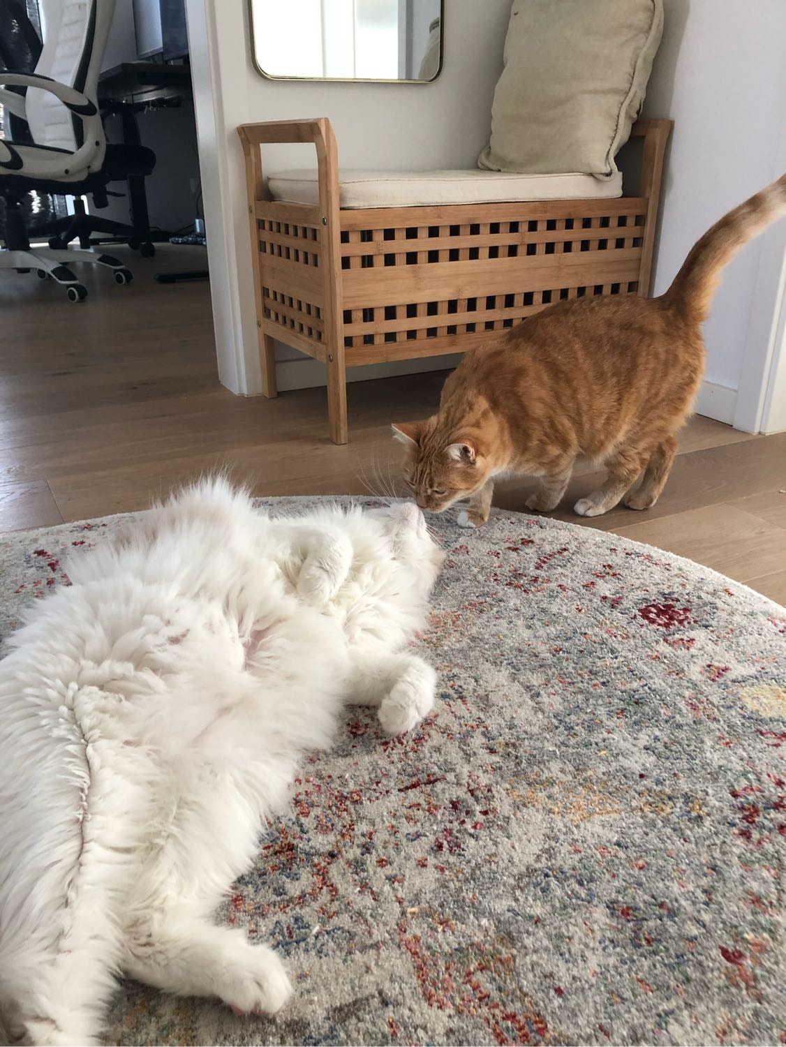 image-24