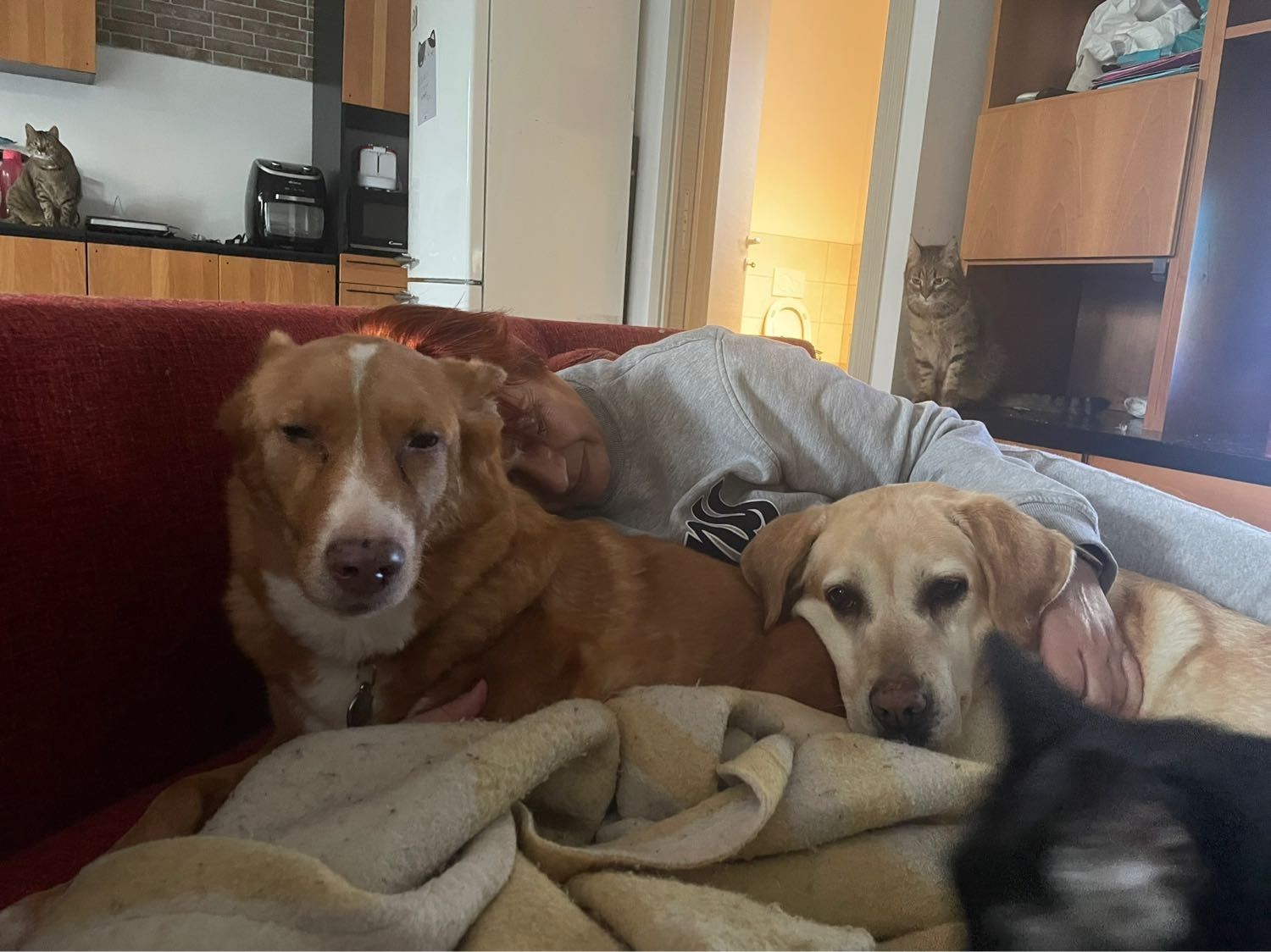 image-8