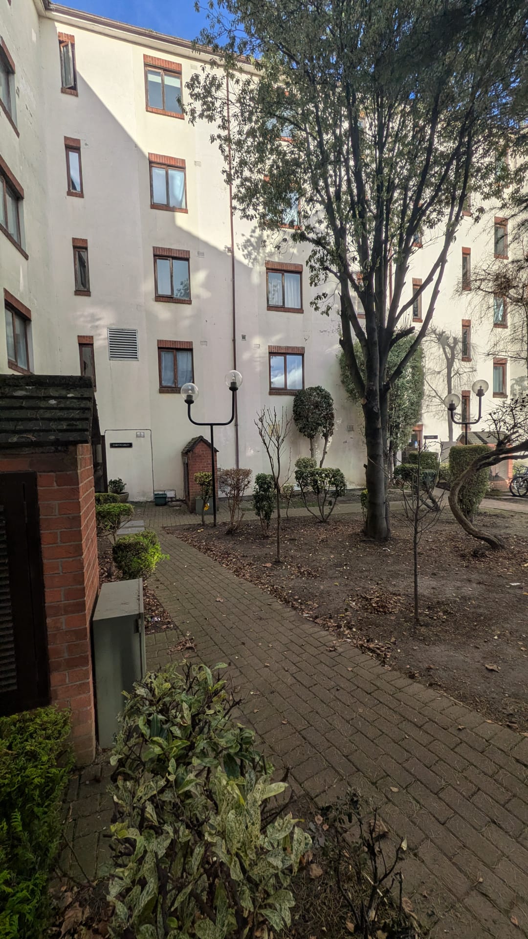 image-12