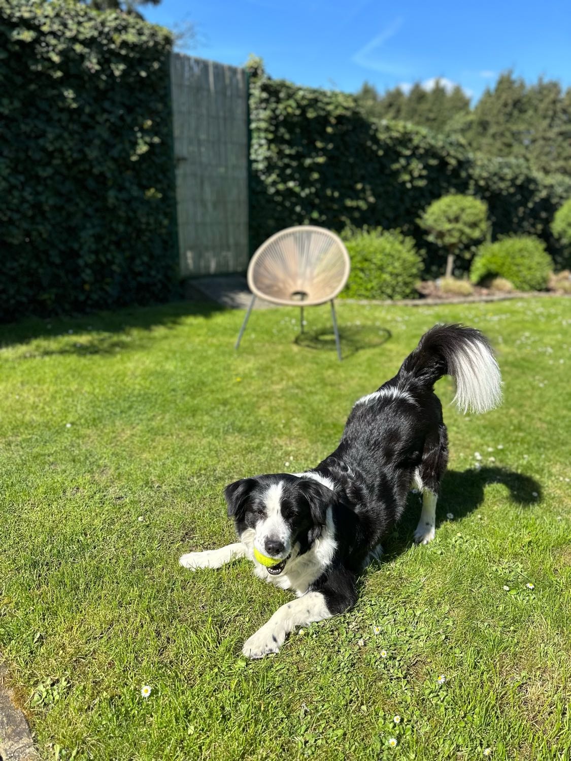 image-16