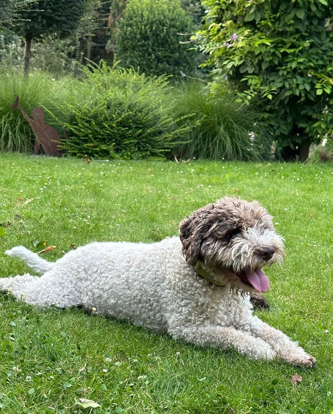 image-20