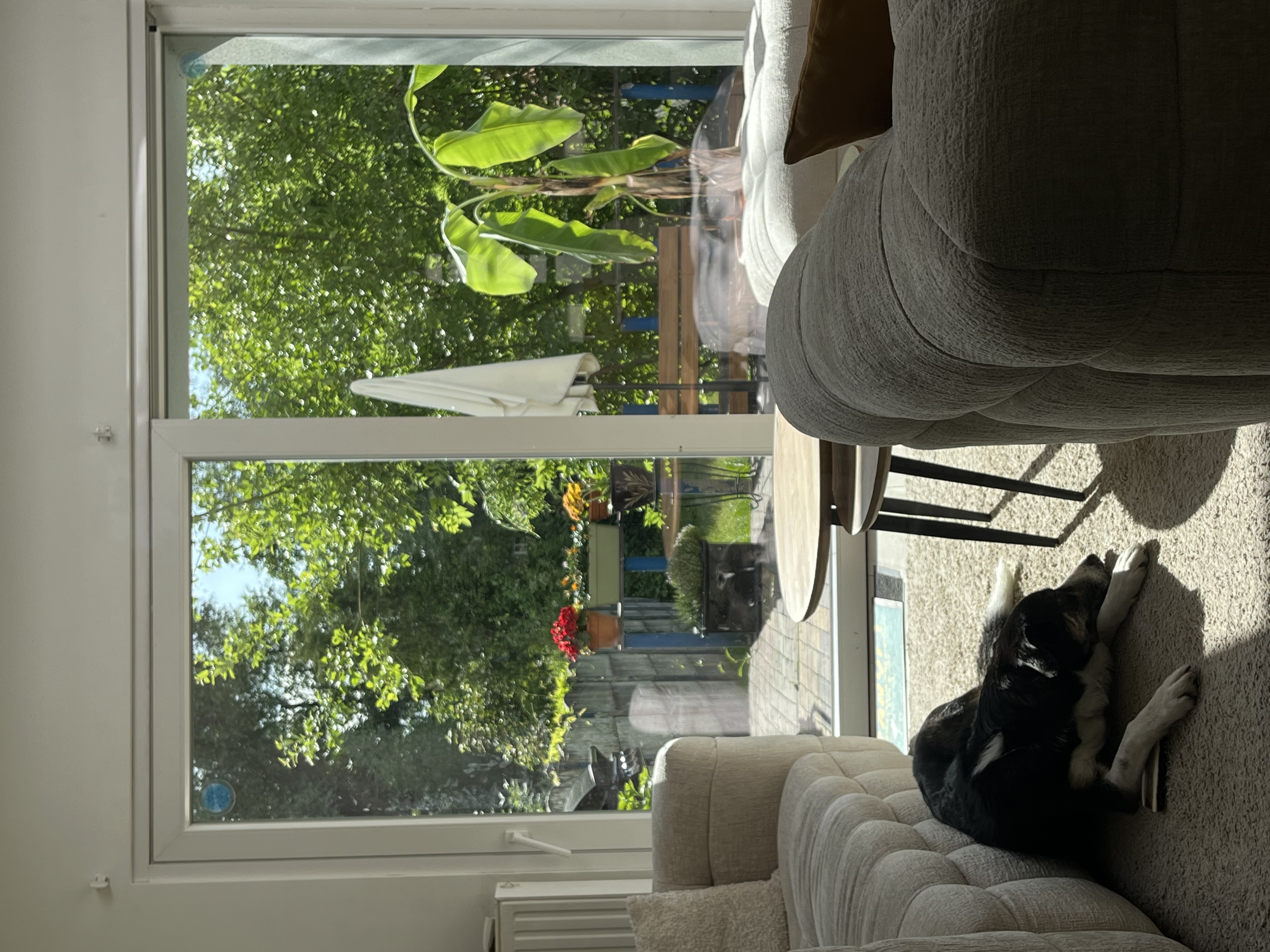 image-18