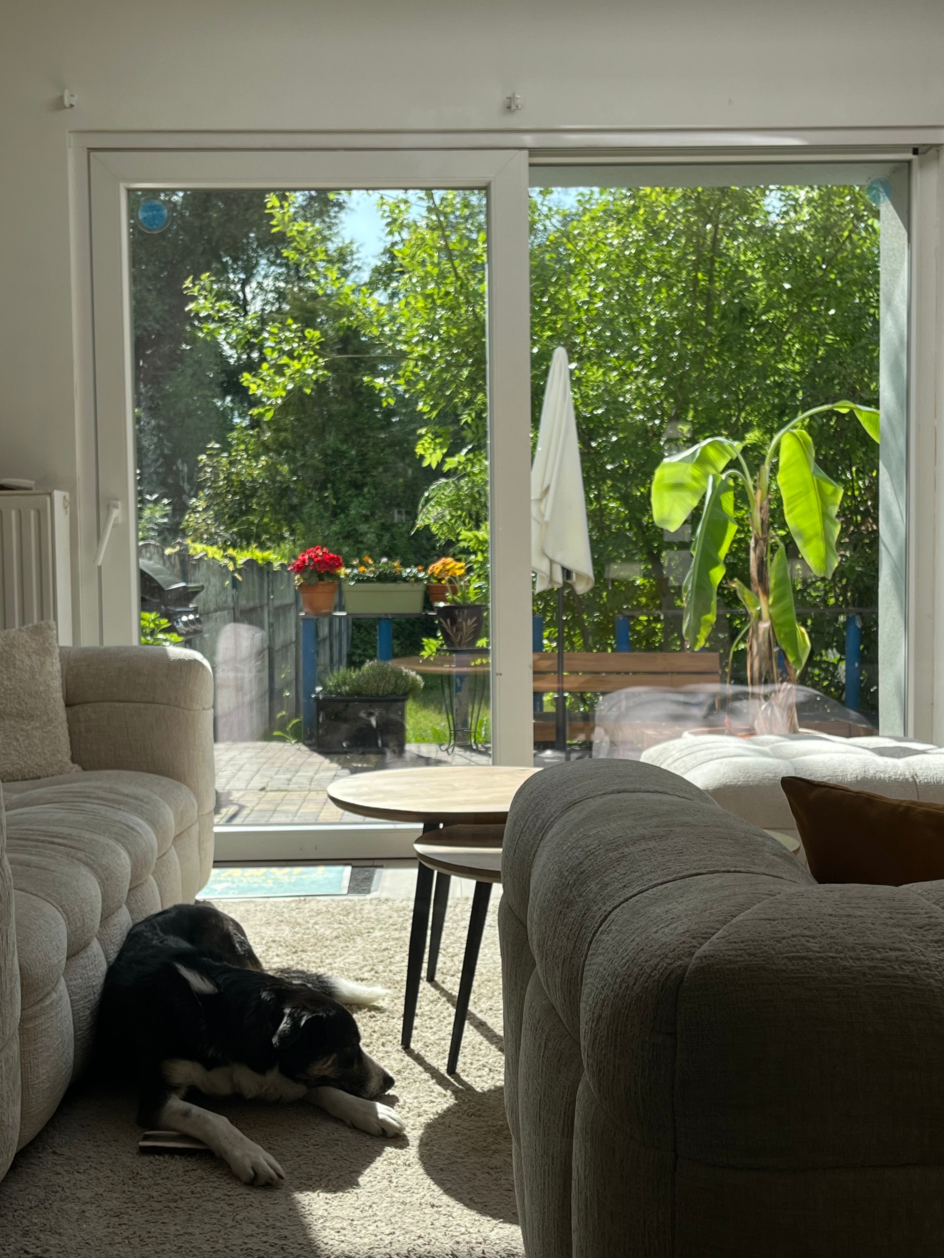 image-18