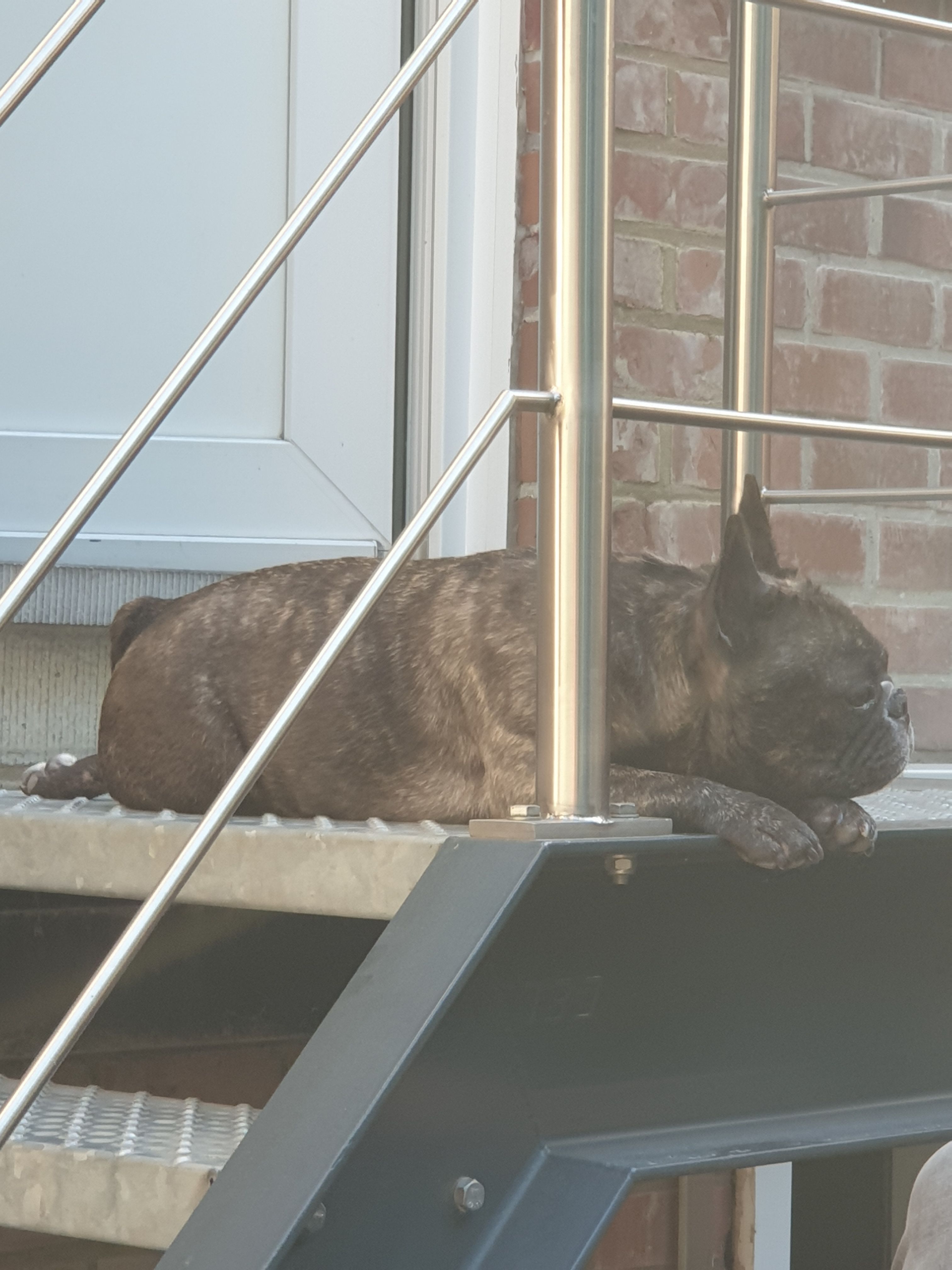 image-9