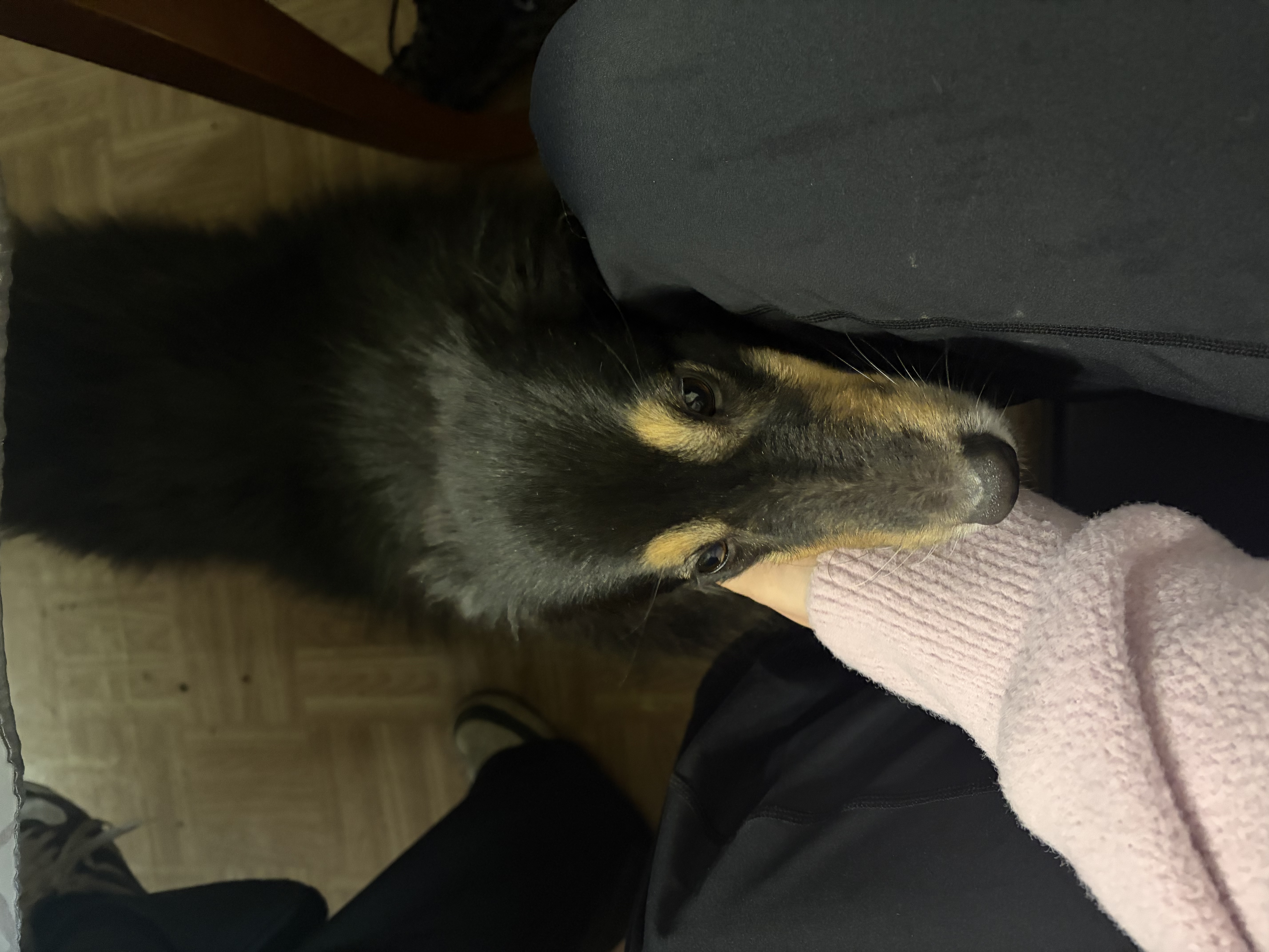 image-17