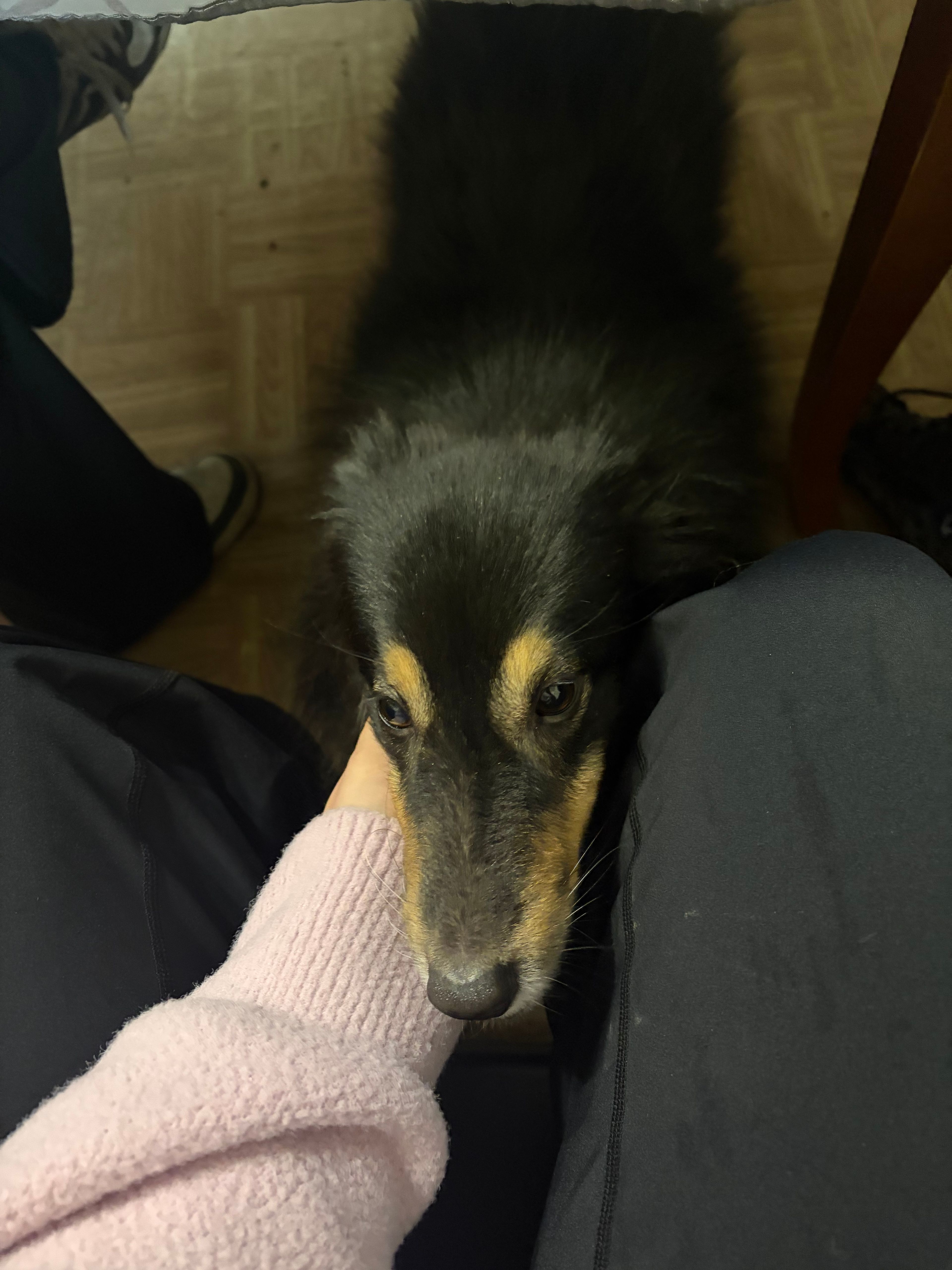 image-17