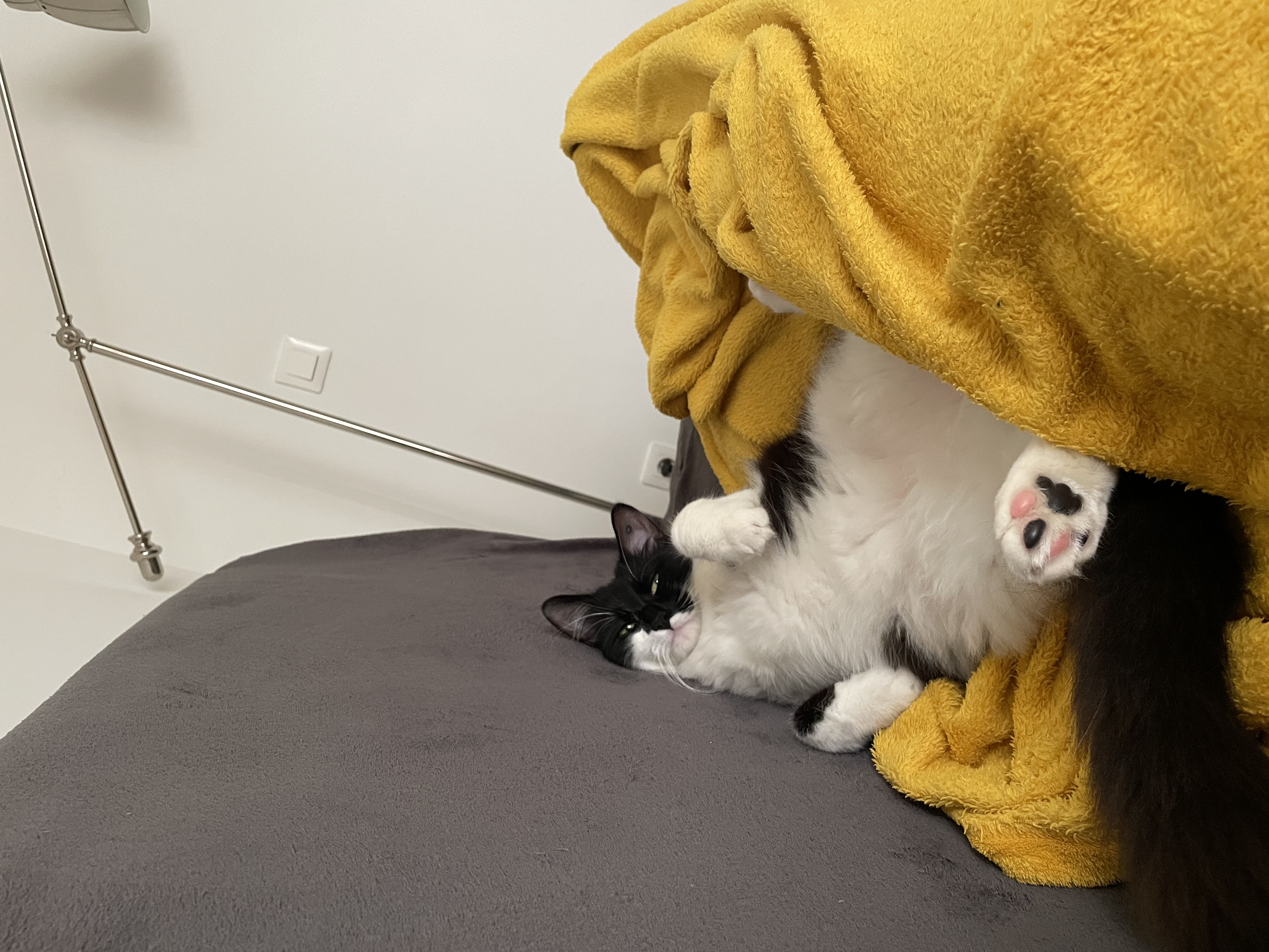 image-10