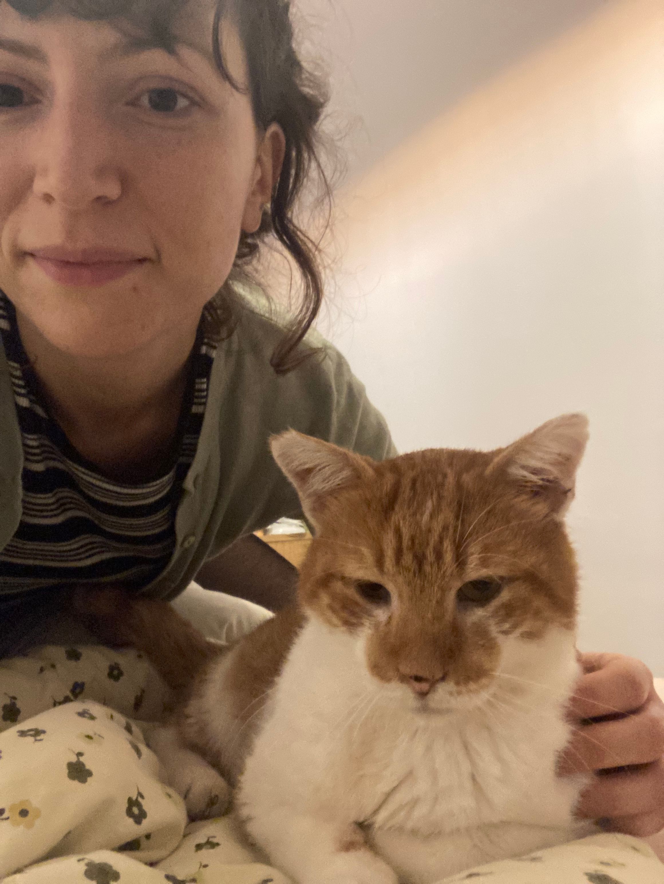 image-6