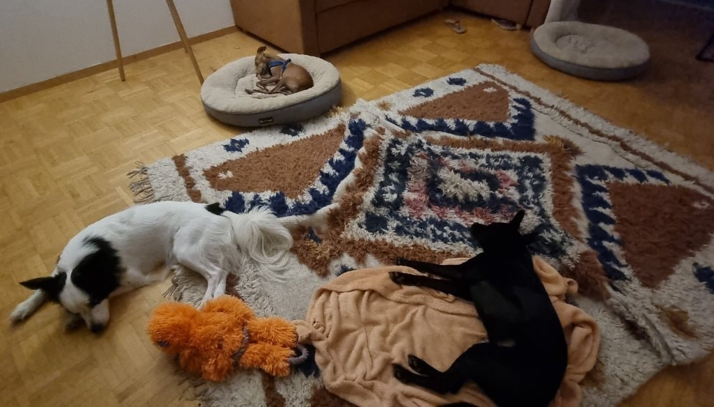 image-7