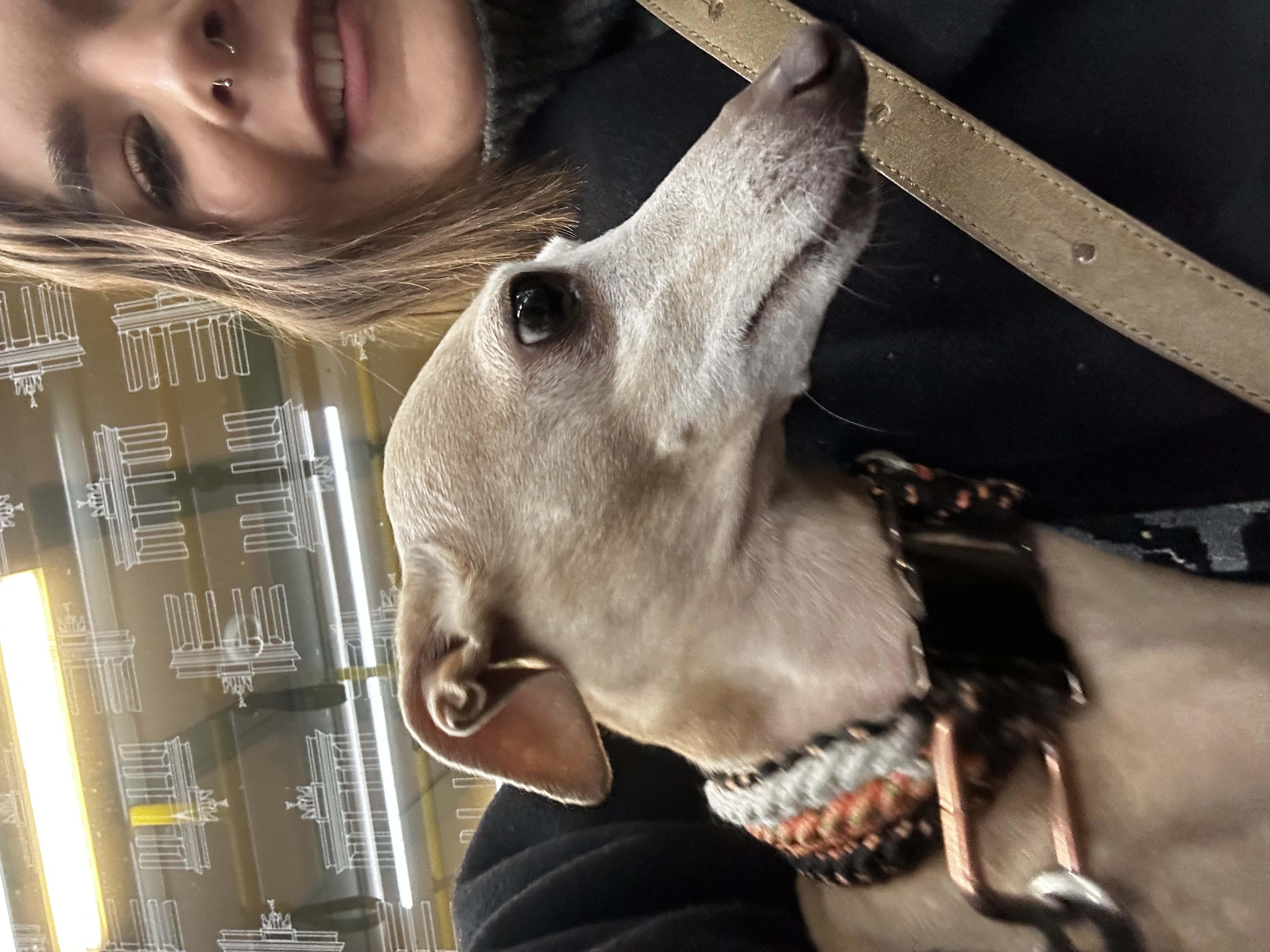image-6