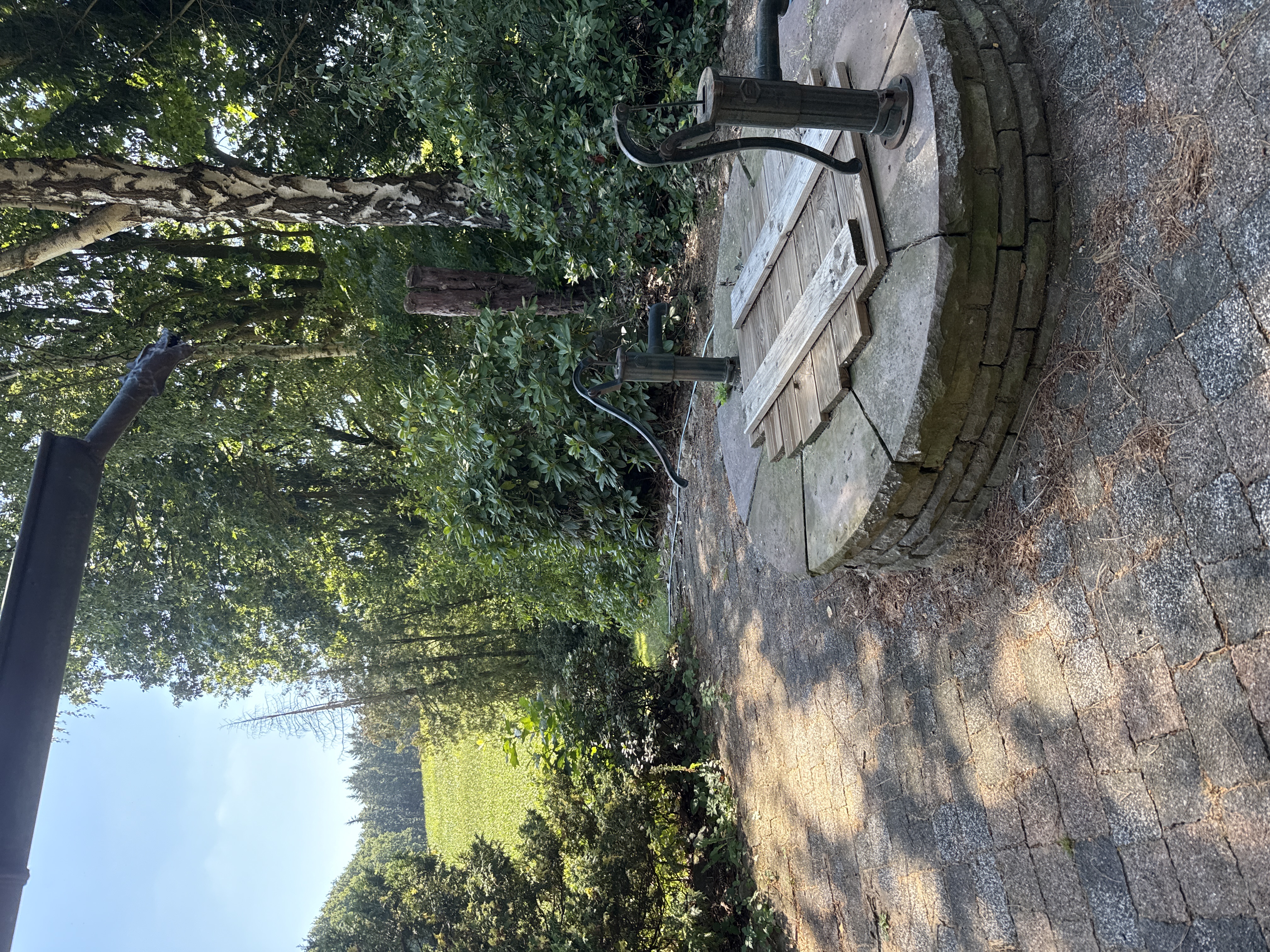 image-30