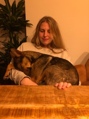 image-5