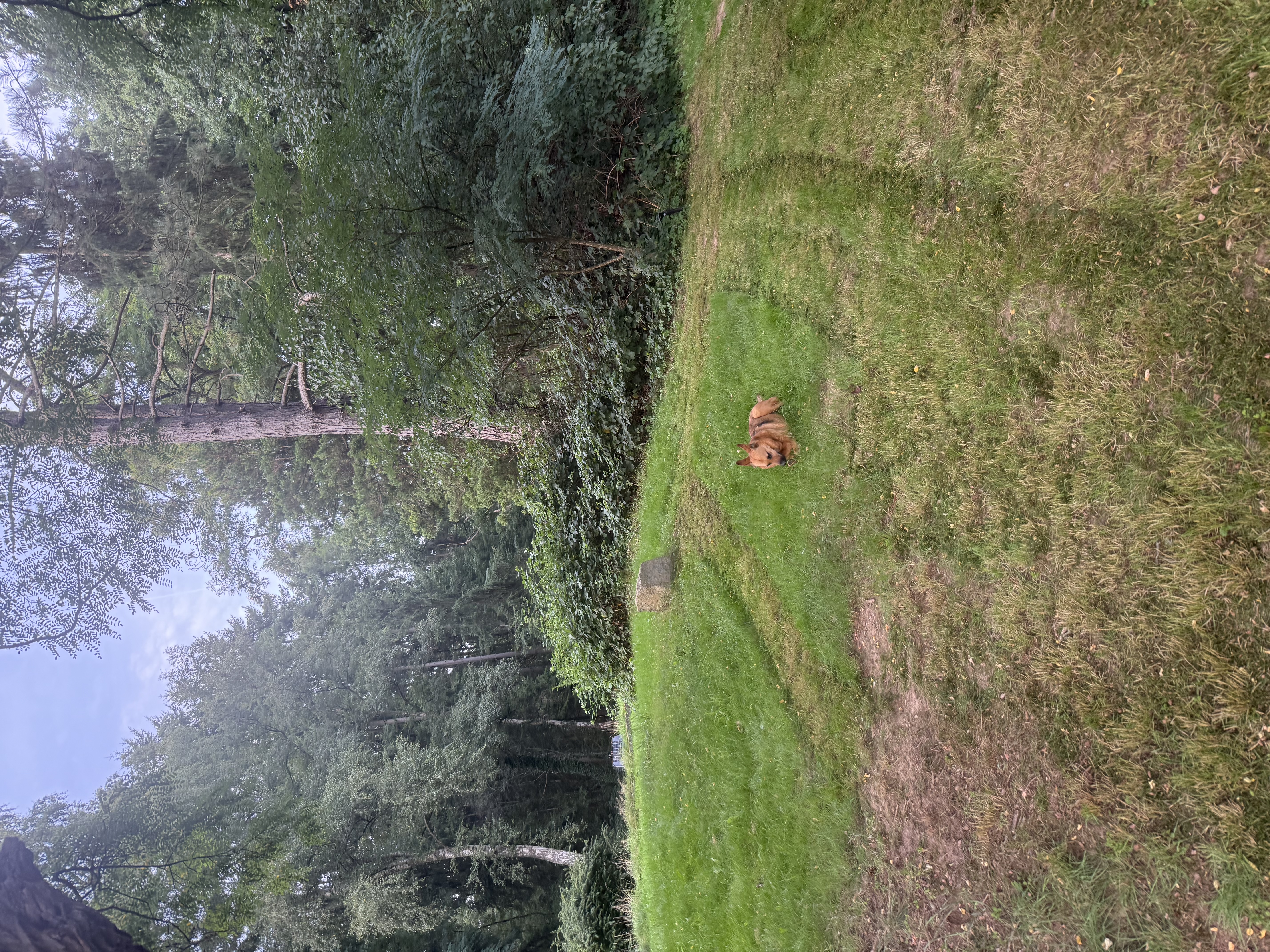 image-28