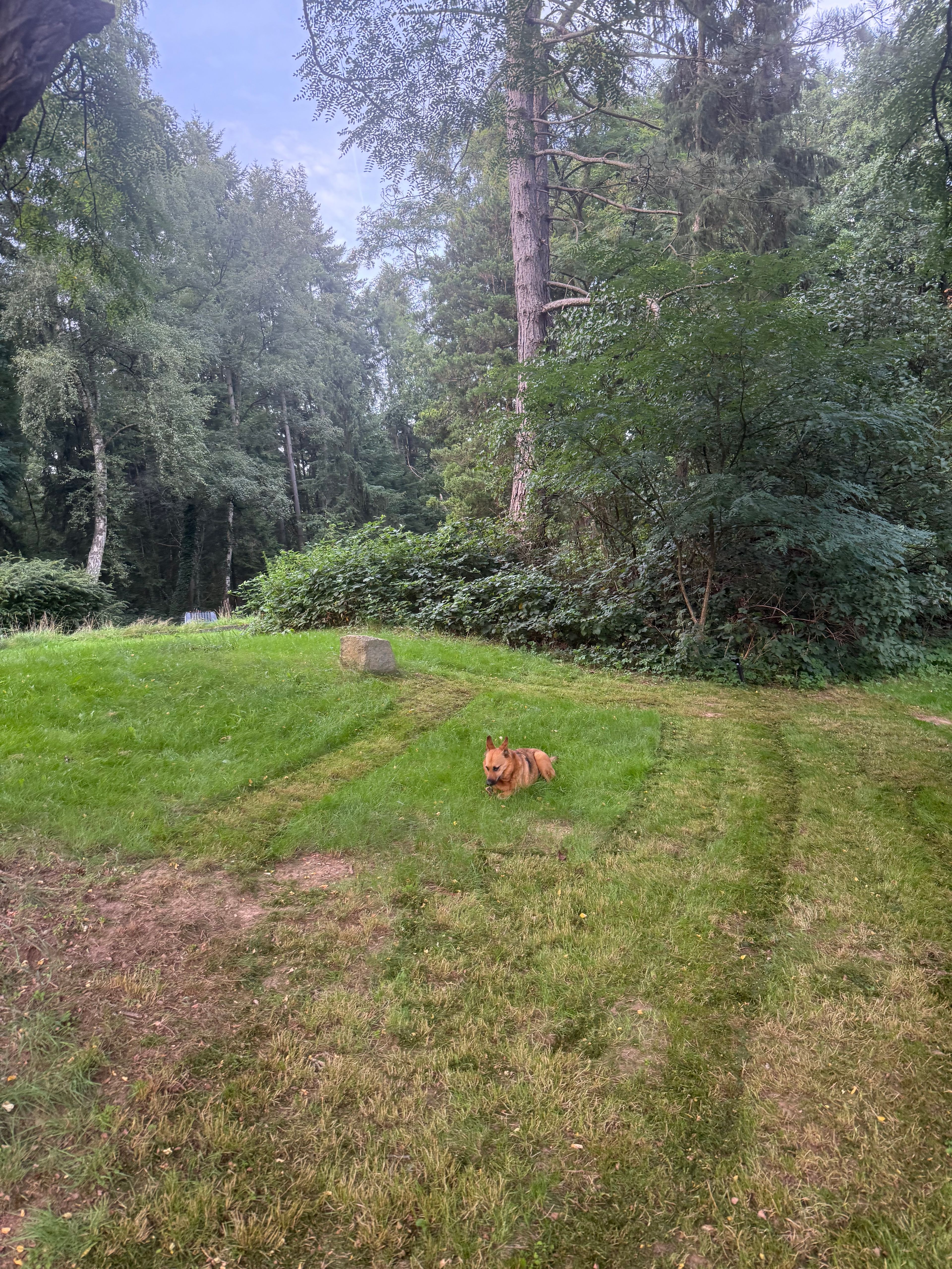 image-28