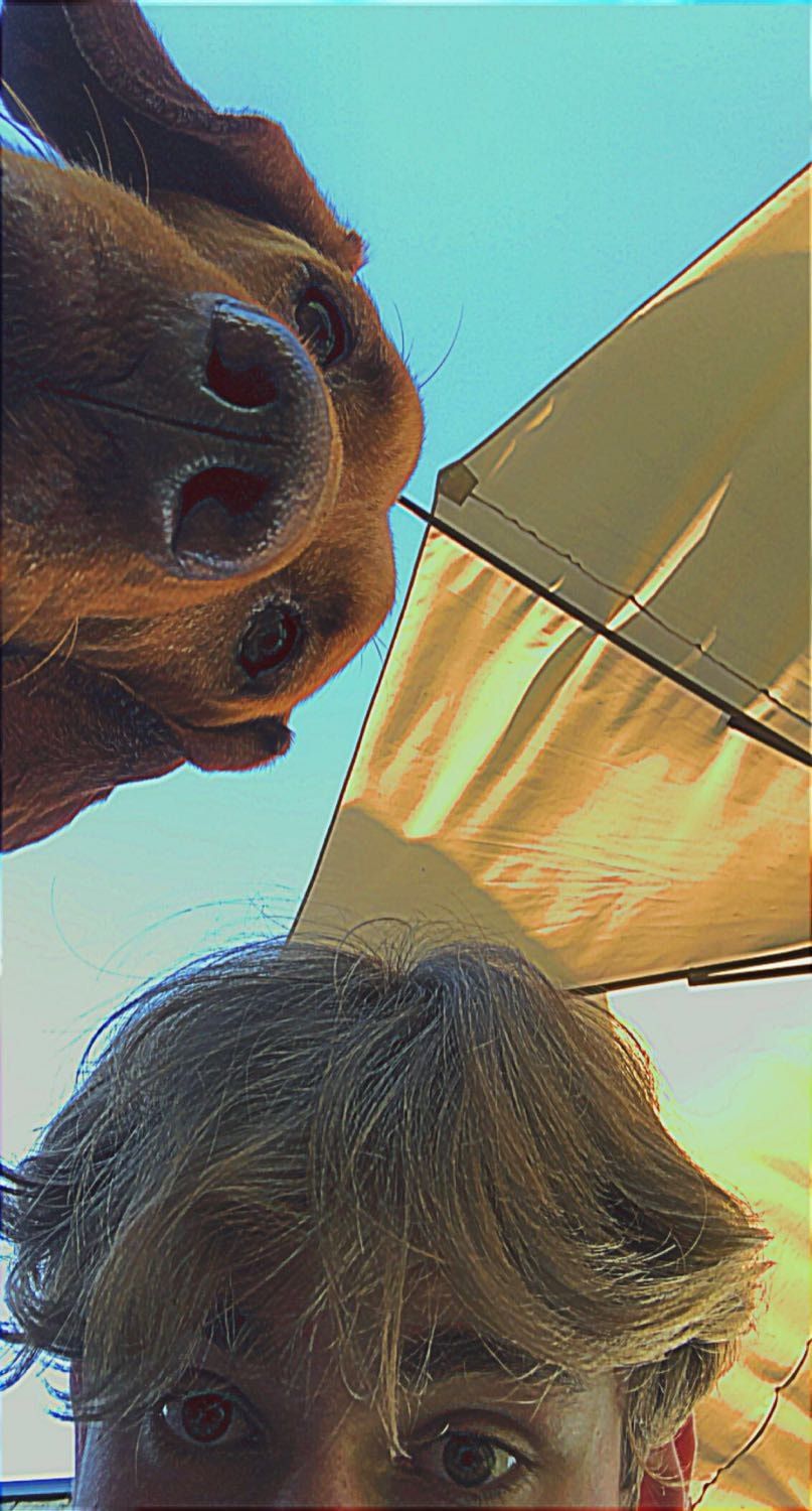 image-3