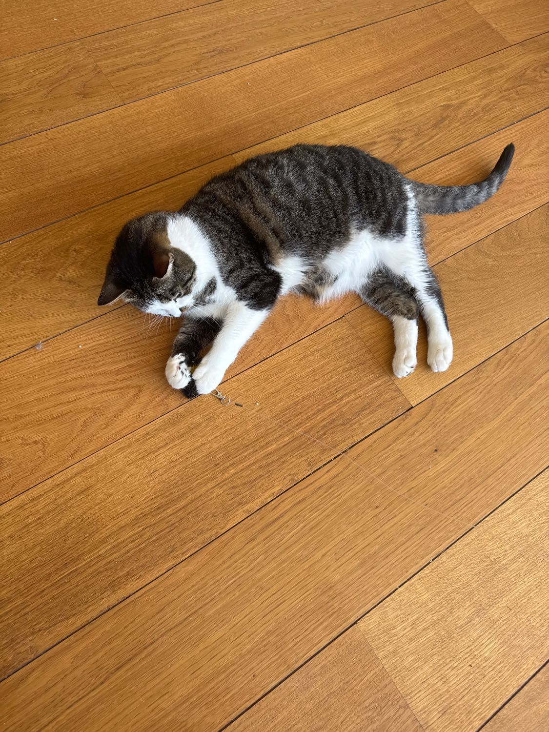 image-8