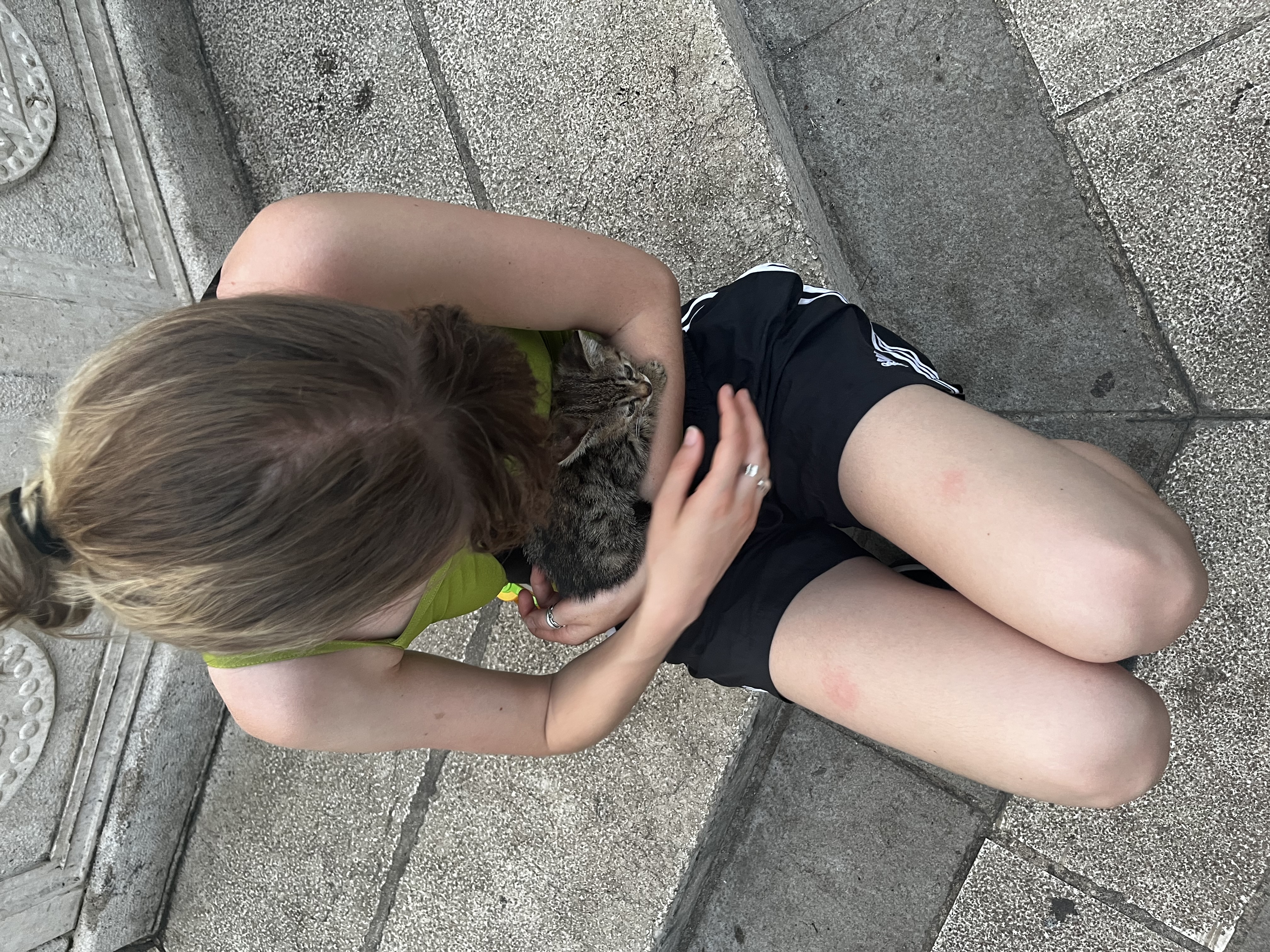 image-9