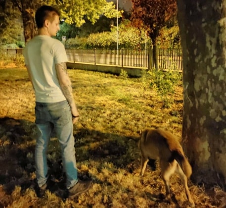 image-6