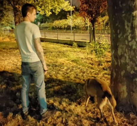 image-6