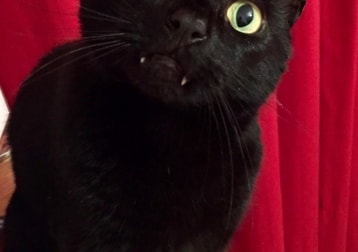Milly