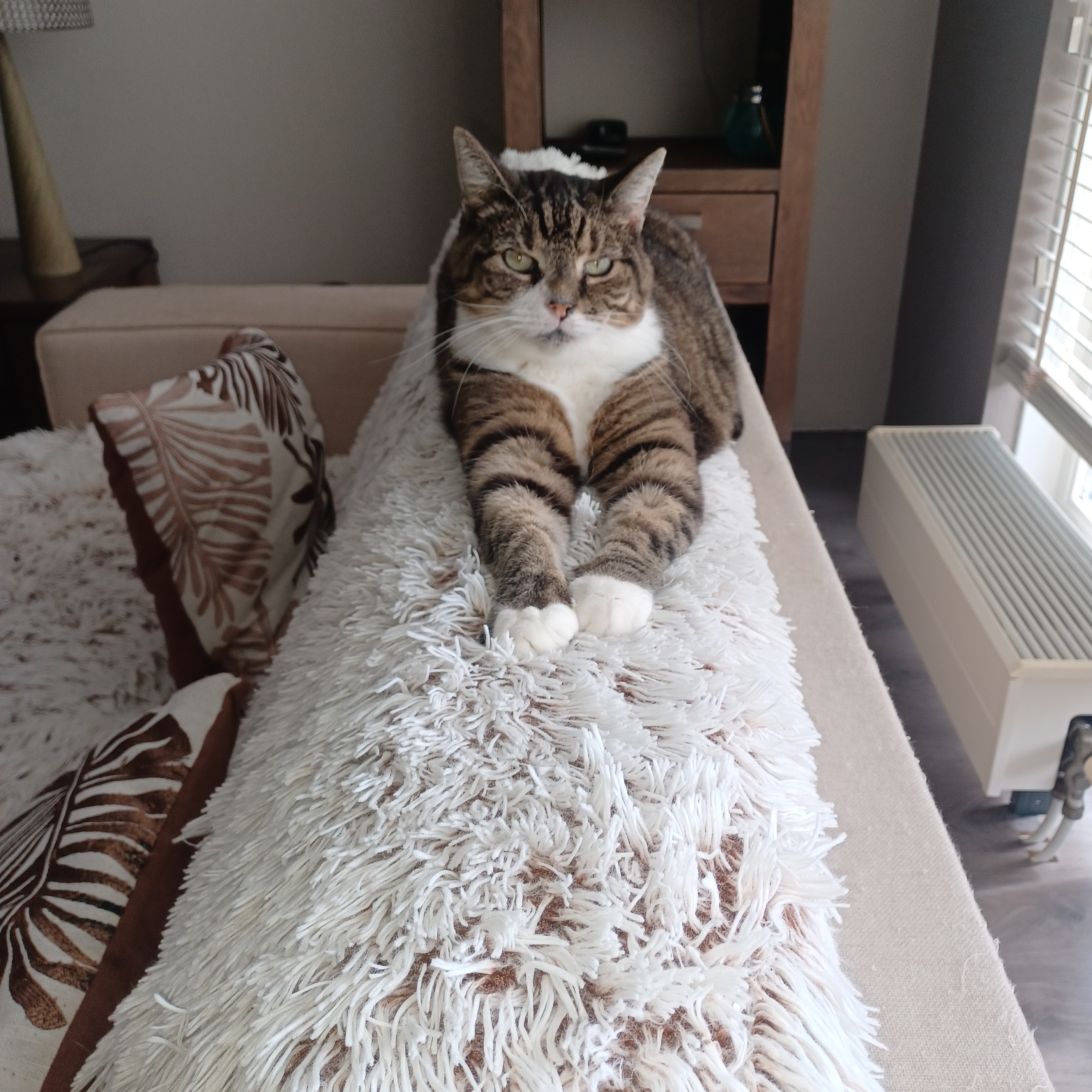 Myla (aka Muis, Mausie, Smausemaus)