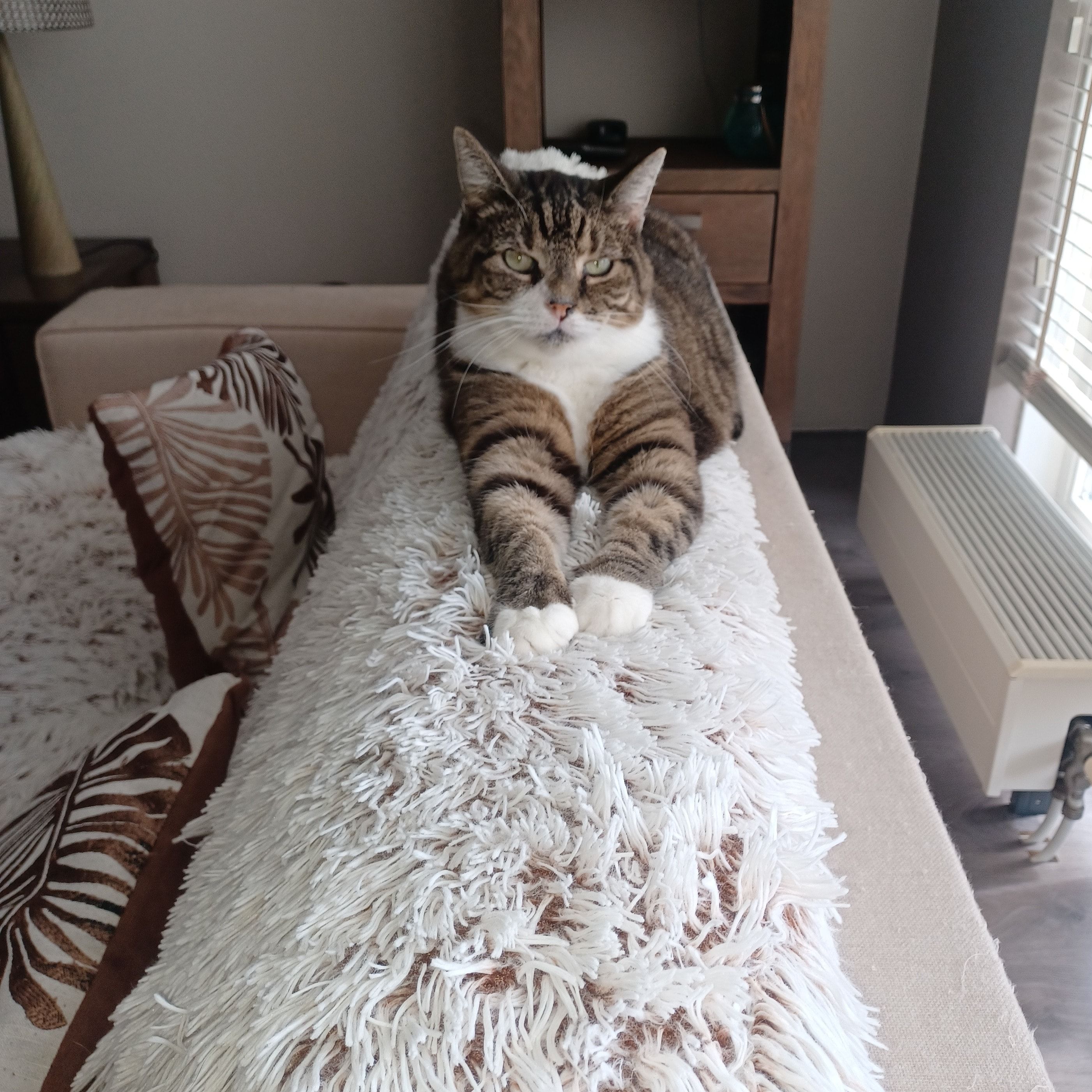 Myla (aka Muis, Mausie, Smausemaus)