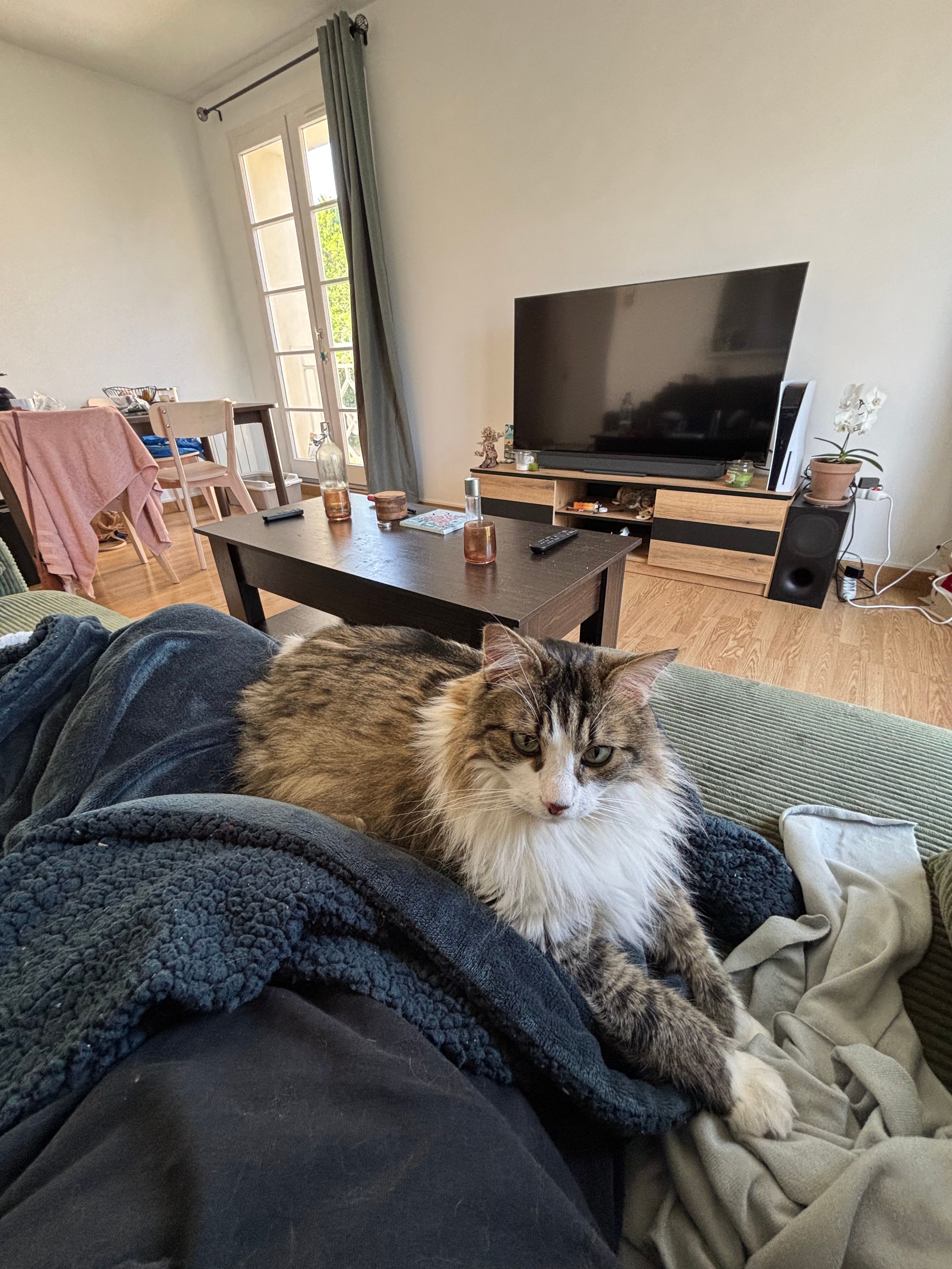 image-12