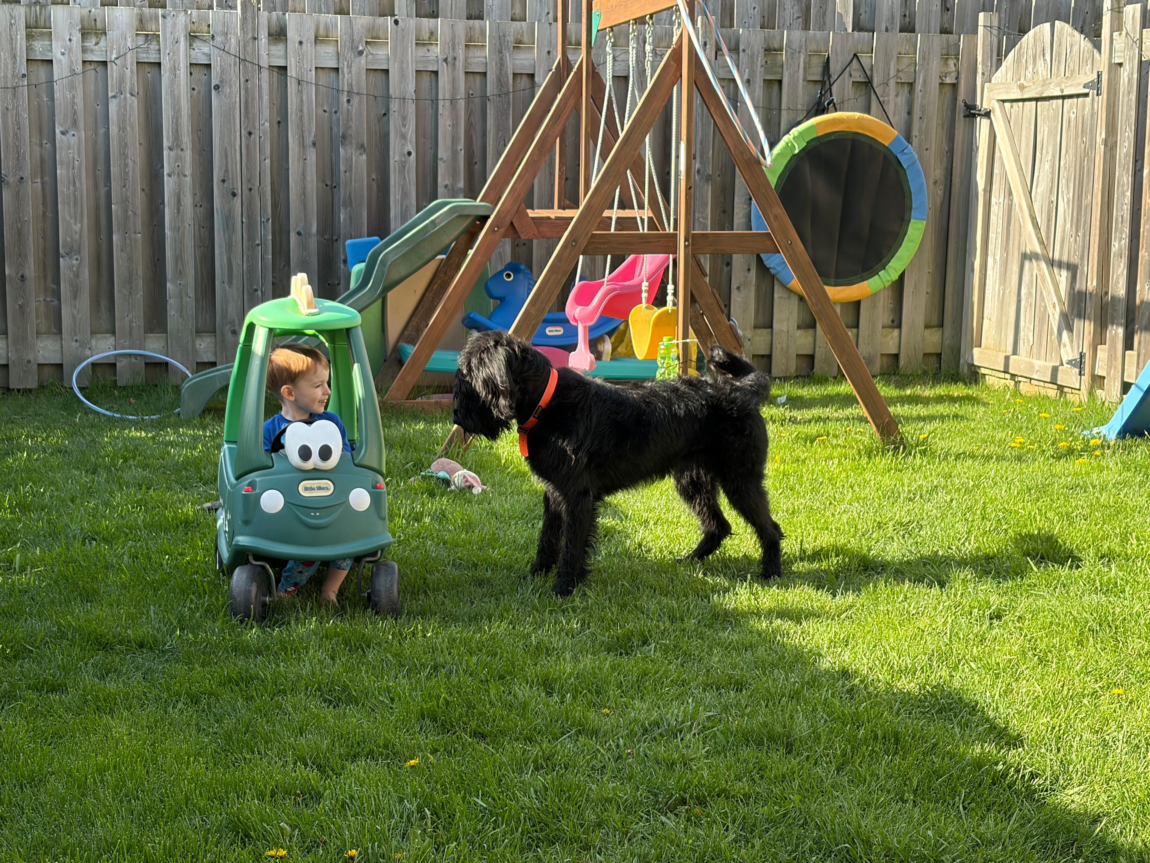 image-33
