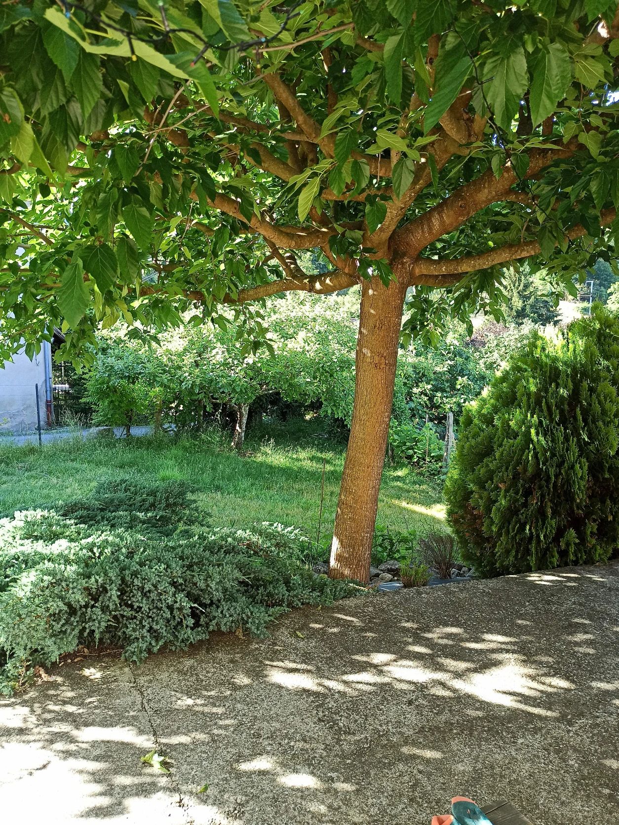 image-11