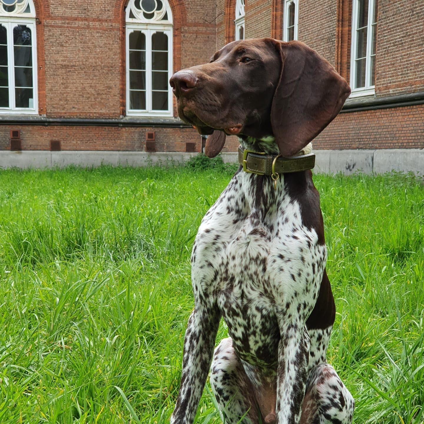 Charles