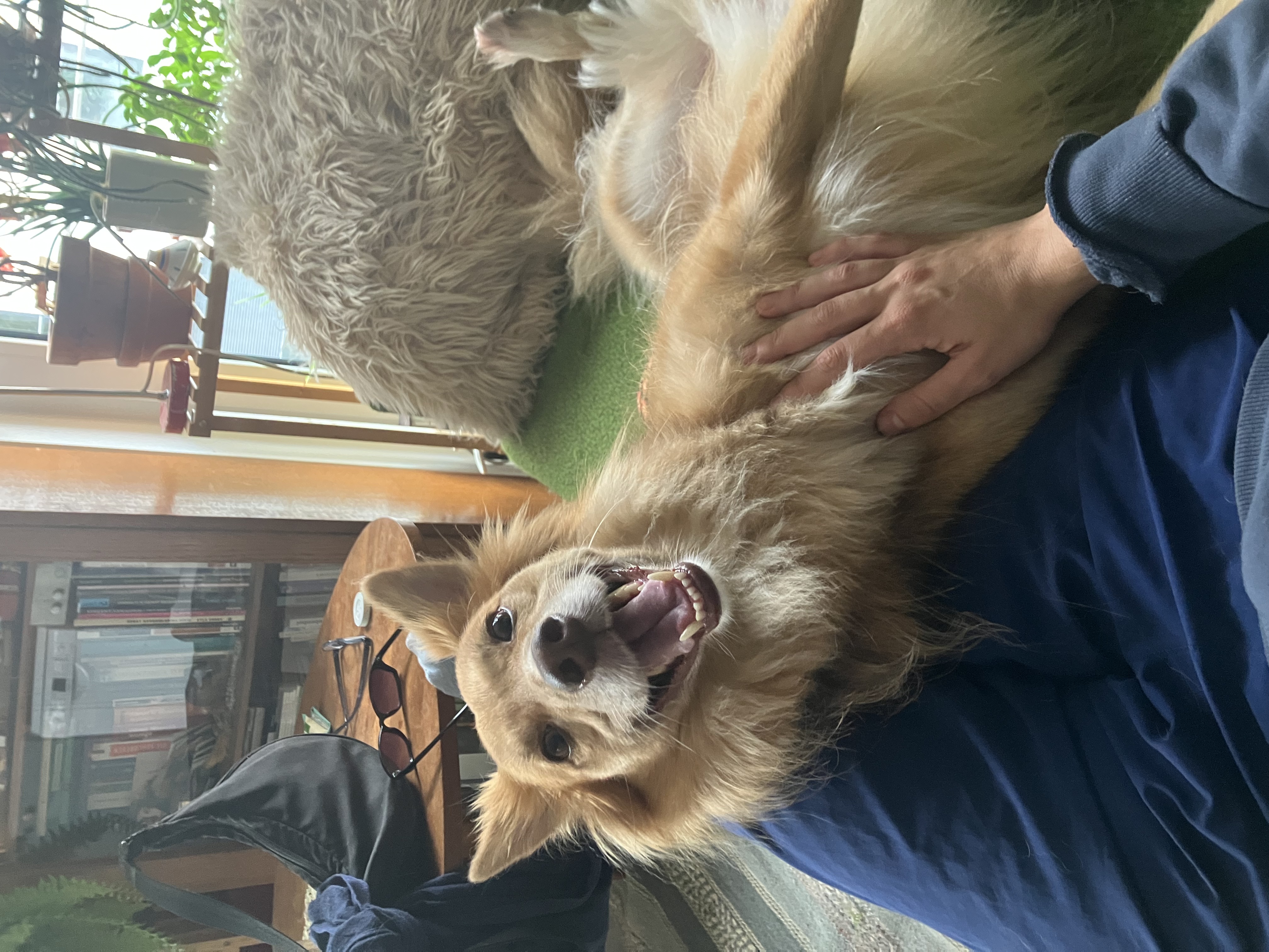 image-6