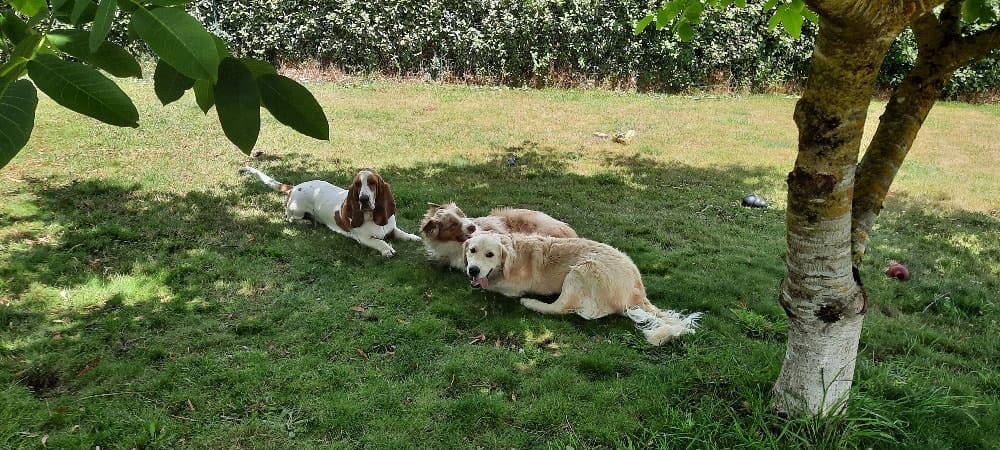 image-4
