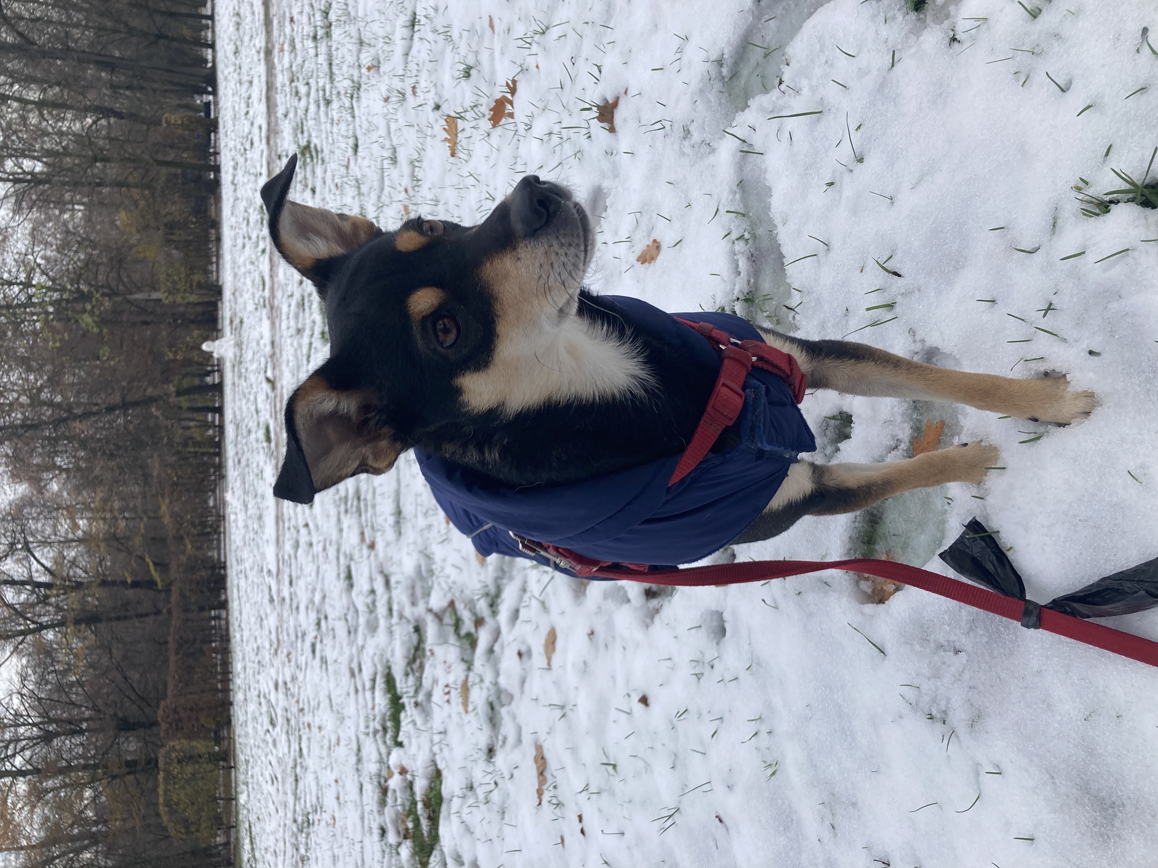 image-6