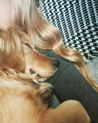 image-9